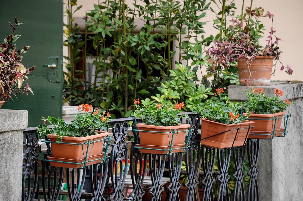 Bed and Breakfast Residenza Betta Florencie Exteriér fotografie